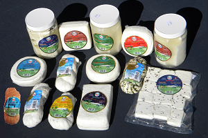 KarounCheese KarounCheese